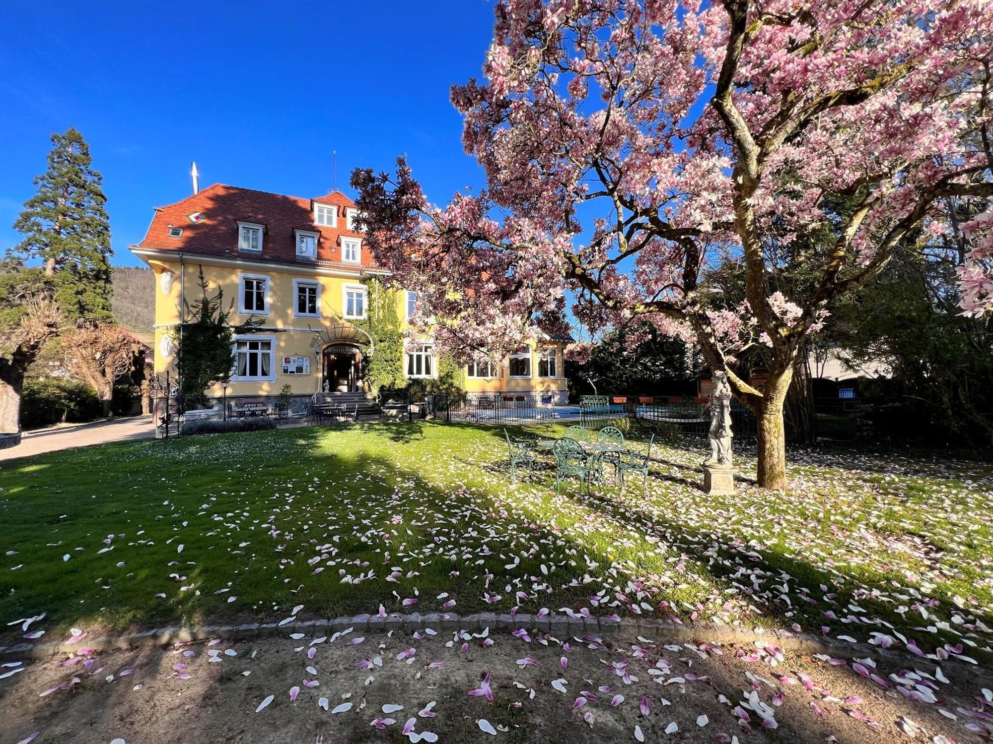 Restaurant Du Parc Thann